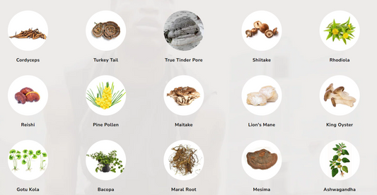 Culinary Delights: Exploring Delicious Mushrooms and Supplements