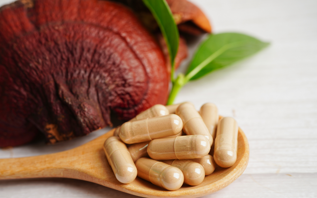 PHARMAGREEN-best-mushroom-supplement