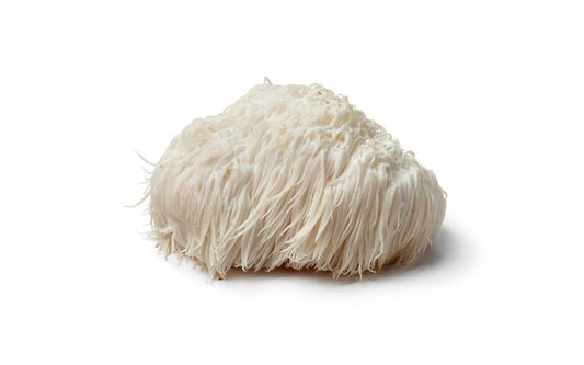PHARMAGREEN-mushroom-supplements-benefits