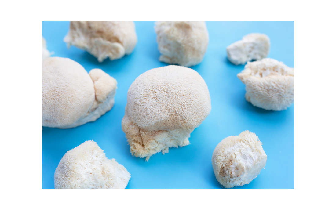 PHARMAGREEN-lion's-mane-mushroom-supplement