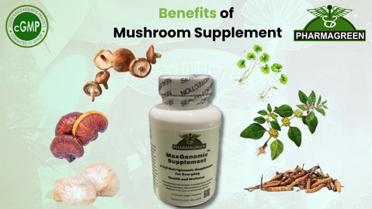 Benefits of Mashroom Supplement