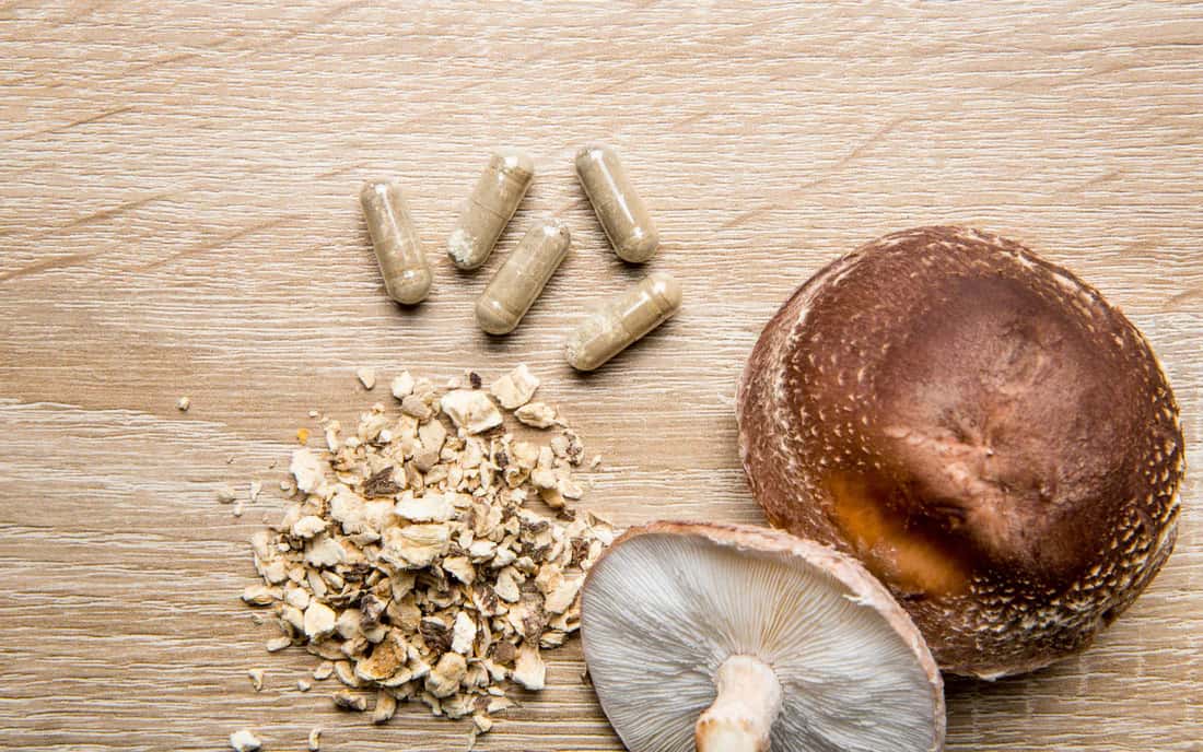 Health Benefits of Mushroom