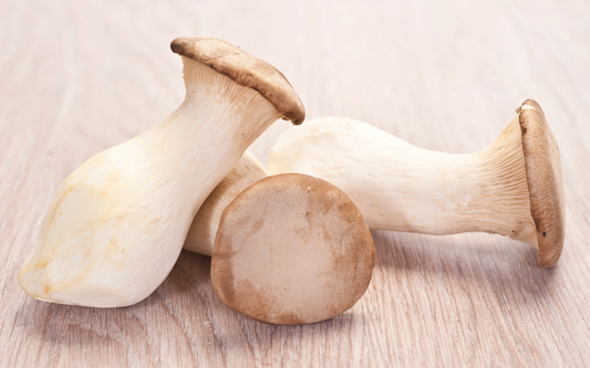 The Science Behind Mushroom Supplements: Understanding the Key Compounds and Their Effects