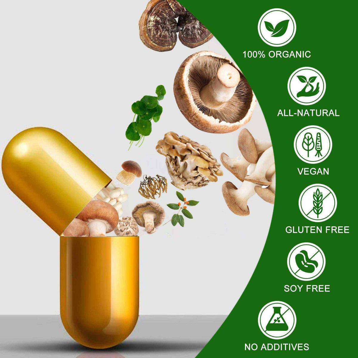 15 All-Natural Ingredients mushroom and herb supplement shown as an open gold capsule with mushrooms and herbs