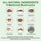 15 All-Natural Ingredients chart showing nine medicinal mushrooms, including reishi, cordyceps, turkey tail, maitake and lion's mane