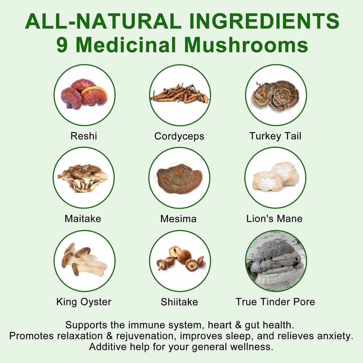 15 All-Natural Ingredients chart showing nine medicinal mushrooms, including reishi, cordyceps, turkey tail, maitake and lion's mane